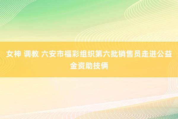 女神 调教 六安市福彩组织第六批销售员走进公益金资助技俩