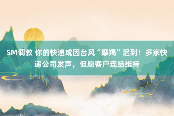 SM调教 你的快递或因台风“摩羯”迟到！多家快递公司发声，但愿客户连结维持