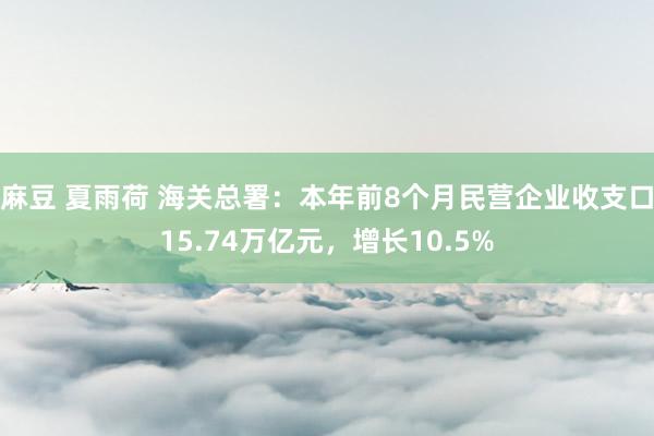 麻豆 夏雨荷 海关总署：本年前8个月民营企业收支口15.74万亿元，增长10.5%