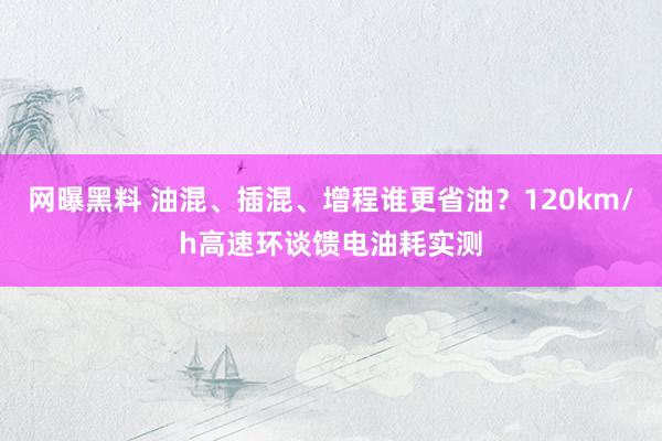 网曝黑料 油混、插混、增程谁更省油？120km/h高速环谈馈电油耗实测