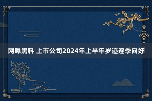 网曝黑料 上市公司2024年上半年岁迹逐季向好