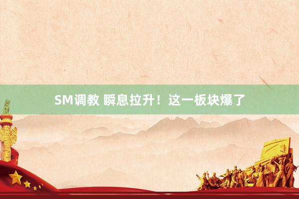 SM调教 瞬息拉升！这一板块爆了