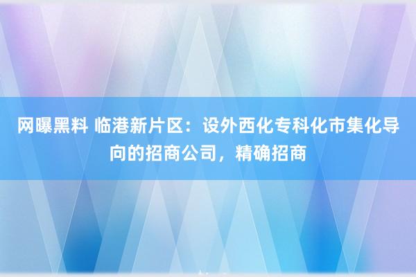 网曝黑料 临港新片区：设外西化专科化市集化导向的招商公司，精确招商