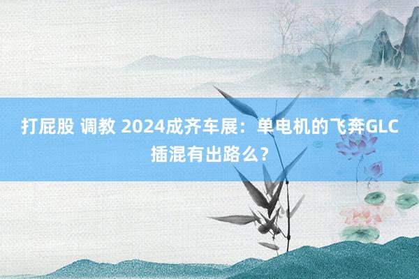 打屁股 调教 2024成齐车展：单电机的飞奔GLC插混有出路么？