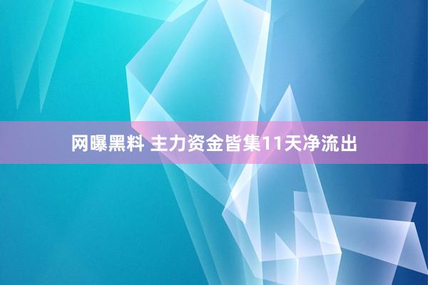 网曝黑料 主力资金皆集11天净流出