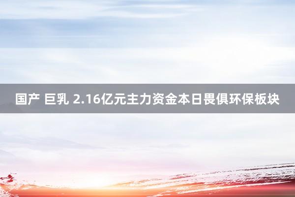 国产 巨乳 2.16亿元主力资金本日畏俱环保板块