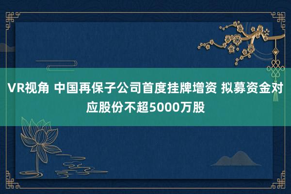 VR视角 中国再保子公司首度挂牌增资 拟募资金对应股份不超5000万股