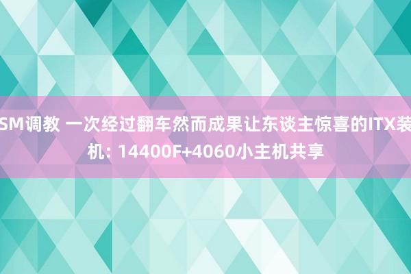 SM调教 一次经过翻车然而成果让东谈主惊喜的ITX装机: 14400F+4060小主机共享