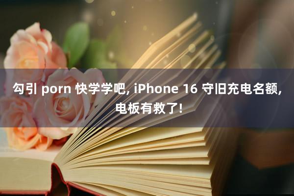 勾引 porn 快学学吧， iPhone 16 守旧充电名额， 电板有救了!