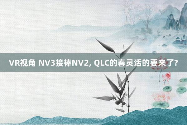 VR视角 NV3接棒NV2， QLC的春灵活的要来了?