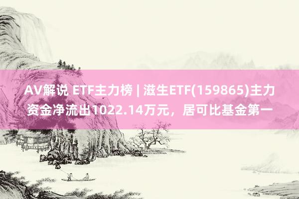 AV解说 ETF主力榜 | 滋生ETF(159865)主力资金净流出1022.14万元，居可比基金第一