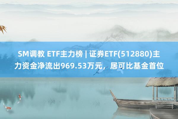 SM调教 ETF主力榜 | 证券ETF(512880)主力资金净流出969.53万元，居可比基金首位