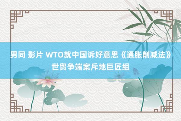 男同 影片 WTO就中国诉好意思《通胀削减法》世贸争端案斥地巨匠组