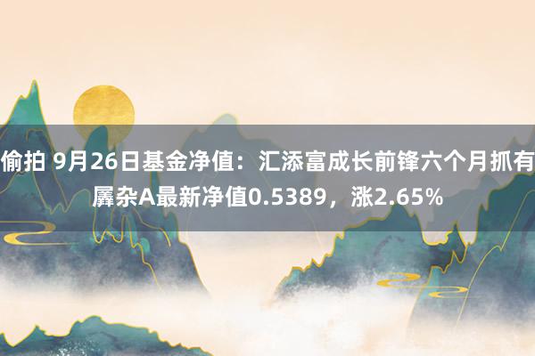 偷拍 9月26日基金净值：汇添富成长前锋六个月抓有羼杂A最新净值0.5389，涨2.65%