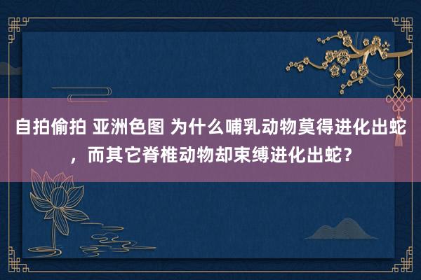 自拍偷拍 亚洲色图 为什么哺乳动物莫得进化出蛇，而其它脊椎动物却束缚进化出蛇？