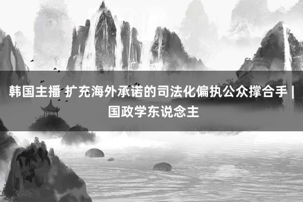 韩国主播 扩充海外承诺的司法化偏执公众撑合手 | 国政学东说念主