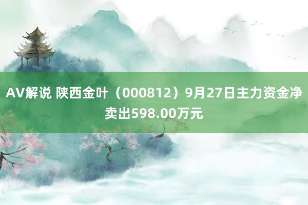 AV解说 陕西金叶（000812）9月27日主力资金净卖出598.00万元