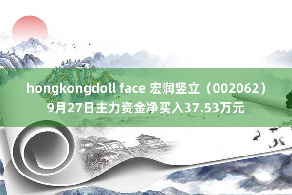 hongkongdoll face 宏润竖立（002062）9月27日主力资金净买入37.53万元