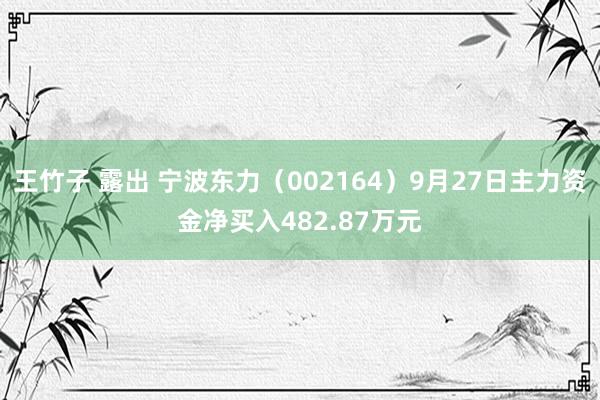 王竹子 露出 宁波东力（002164）9月27日主力资金净买入482.87万元