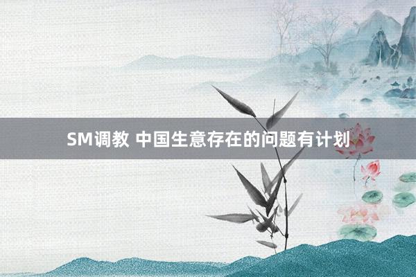 SM调教 中国生意存在的问题有计划