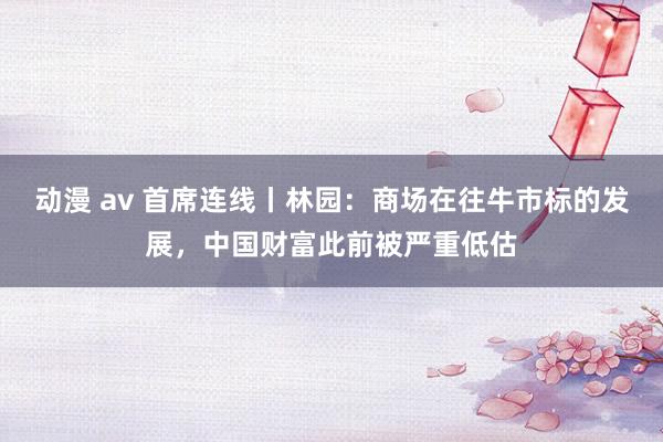 动漫 av 首席连线丨林园：商场在往牛市标的发展，中国财富此前被严重低估