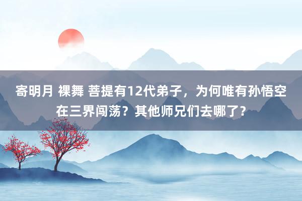 寄明月 裸舞 菩提有12代弟子，为何唯有孙悟空在三界闯荡？其他师兄们去哪了？