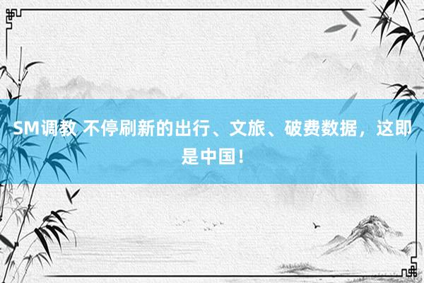 SM调教 不停刷新的出行、文旅、破费数据，这即是中国！