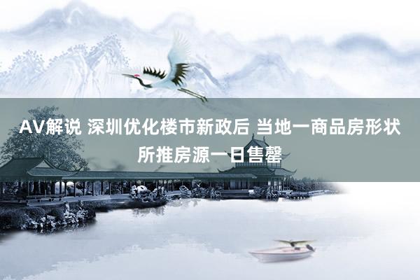 AV解说 深圳优化楼市新政后 当地一商品房形状所推房源一日售罄