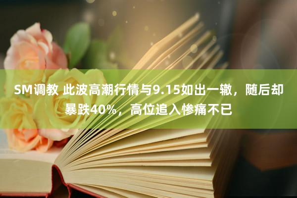 SM调教 此波高潮行情与9.15如出一辙，随后却暴跌40%，高位追入惨痛不已