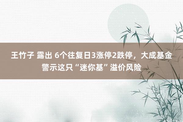 王竹子 露出 6个往复日3涨停2跌停，大成基金警示这只“迷你基”溢价风险