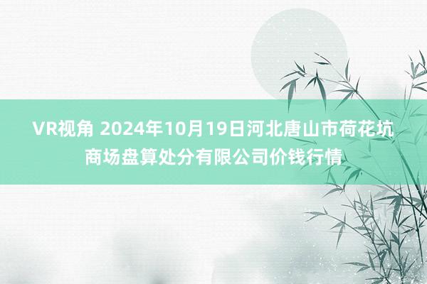 VR视角 2024年10月19日河北唐山市荷花坑商场盘算处分有限公司价钱行情