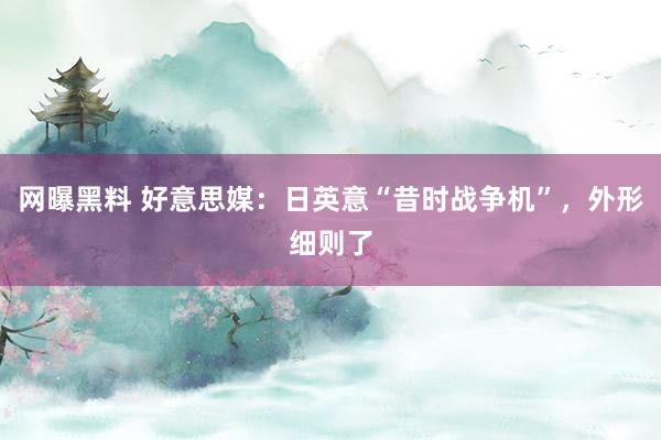 网曝黑料 好意思媒：日英意“昔时战争机”，外形细则了