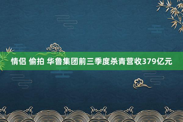 情侣 偷拍 华鲁集团前三季度杀青营收379亿元