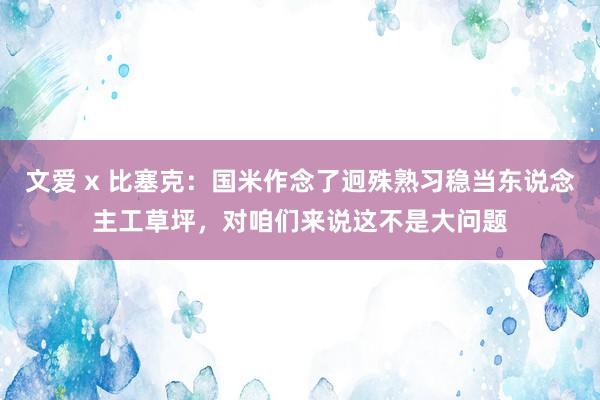 文爱 x 比塞克：国米作念了迥殊熟习稳当东说念主工草坪，对咱们来说这不是大问题