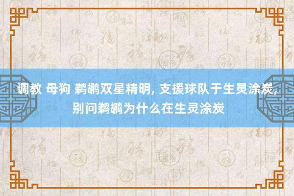 调教 母狗 鹈鹕双星精明， 支援球队于生灵涂炭， 别问鹈鹕为什么在生灵涂炭