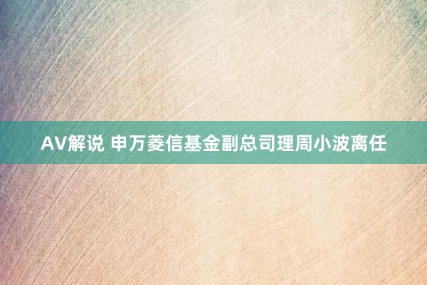 AV解说 申万菱信基金副总司理周小波离任