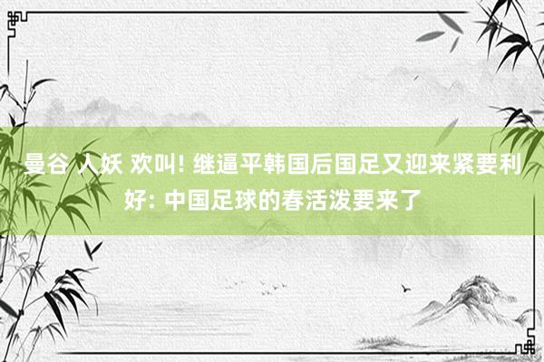 曼谷 人妖 欢叫! 继逼平韩国后国足又迎来紧要利好: 中国足球的春活泼要来了