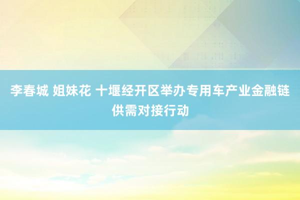 李春城 姐妹花 十堰经开区举办专用车产业金融链供需对接行动