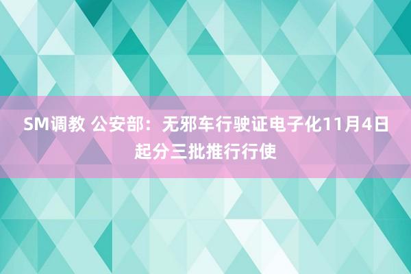 SM调教 公安部：无邪车行驶证电子化11月4日起分三批推行行使