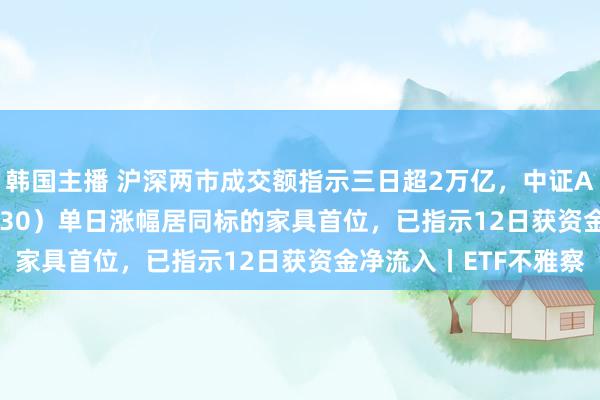 韩国主播 沪深两市成交额指示三日超2万亿，中证A500ETF摩根（560530）单日涨幅居同标的家具首位，已指示12日获资金净流入丨ETF不雅察