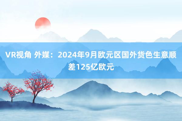 VR视角 外媒：2024年9月欧元区国外货色生意顺差125亿欧元