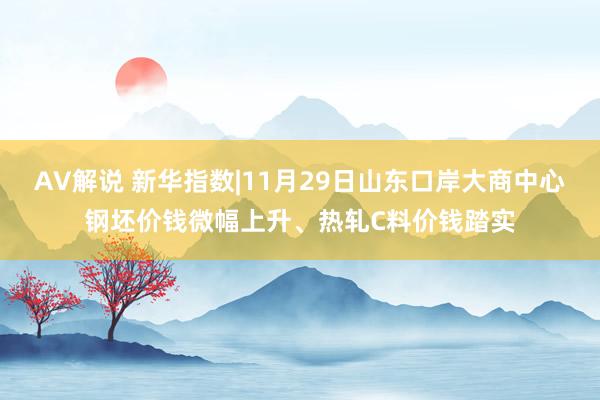 AV解说 新华指数|11月29日山东口岸大商中心钢坯价钱微幅上升、热轧C料价钱踏实