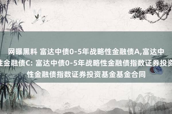 网曝黑料 富达中债0-5年战略性金融债A，富达中债0-5年战略性金融债C: 富达中债0-5年战略性金融债指数证券投资基金基金合同