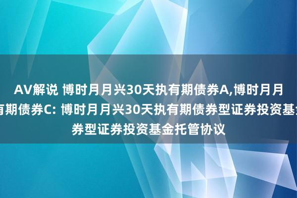 AV解说 博时月月兴30天执有期债券A，博时月月兴30天执有期债券C: 博时月月兴30天执有期债券型证券投资基金托管协议