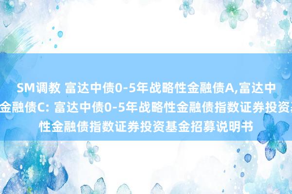 SM调教 富达中债0-5年战略性金融债A，富达中债0-5年战略性金融债C: 富达中债0-5年战略性金融债指数证券投资基金招募说明书