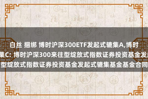 白丝 捆绑 博时沪深300ETF发起式辘集A，博时沪深300ETF发起式辘集C: 博时沪深300来往型绽放式指数证券投资基金发起式辘集基金基金合同