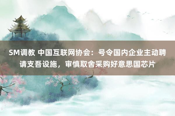 SM调教 中国互联网协会：号令国内企业主动聘请支吾设施，审慎取舍采购好意思国芯片