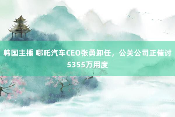 韩国主播 哪吒汽车CEO张勇卸任，公关公司正催讨5355万用度