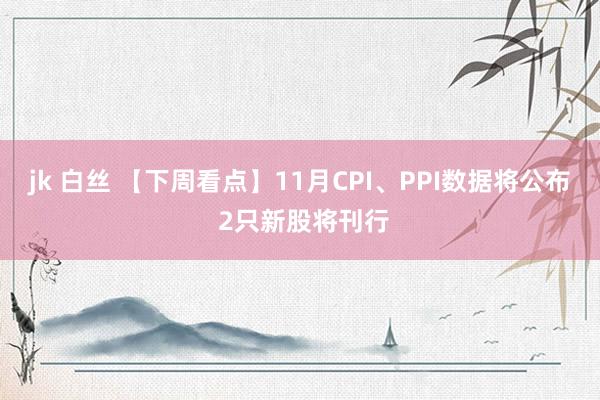 jk 白丝 【下周看点】11月CPI、PPI数据将公布 2只新股将刊行