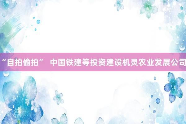 “自拍偷拍”  中国铁建等投资建设机灵农业发展公司